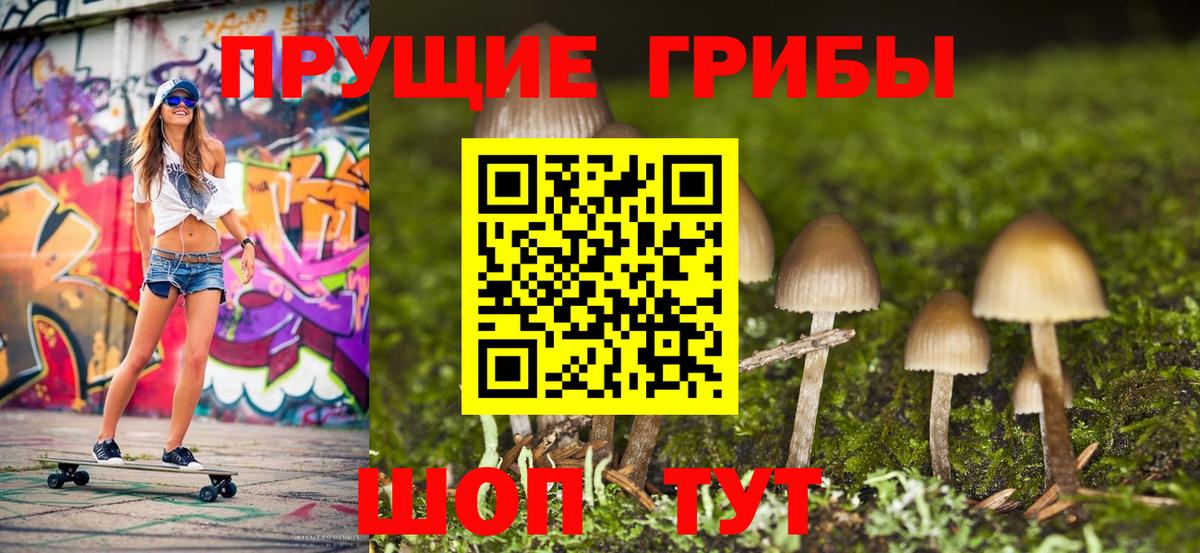 Псилоцибиновые грибы Cubensis Десногорск